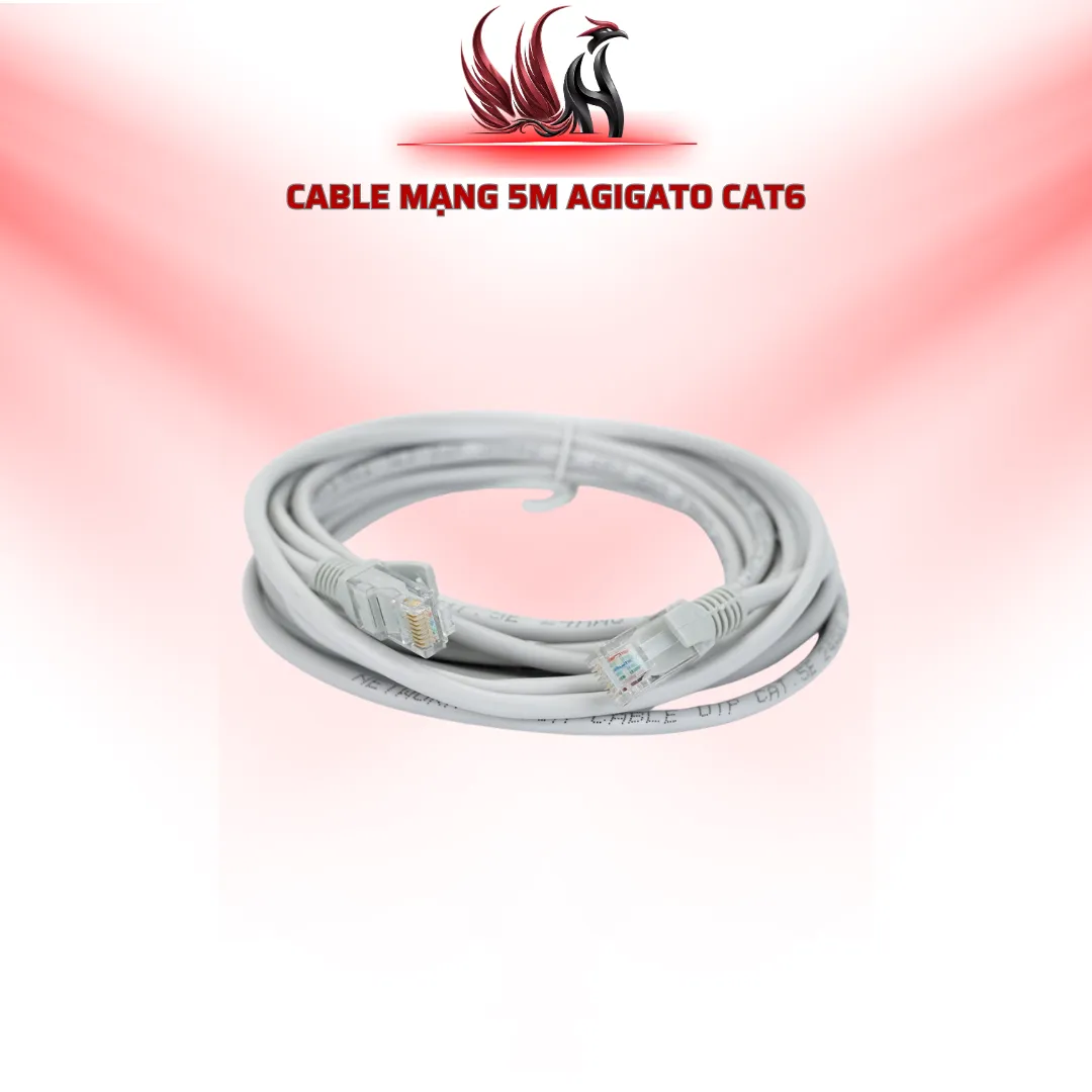 Cáp Mạng Agigato CAT6 5M RJ45 | HOCO STORE PC