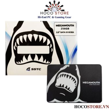 Ổ Cứng SSD SATA 1TB SSTC MEGAMOUTH SATA III