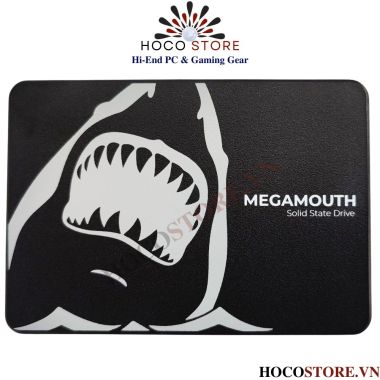 Ổ Cứng SSD SATA 1TB SSTC MEGAMOUTH SATA III